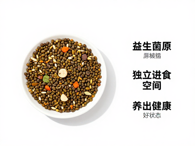 龟粮怎么选?益生菌调理,独立进食空间,养出健康好状态