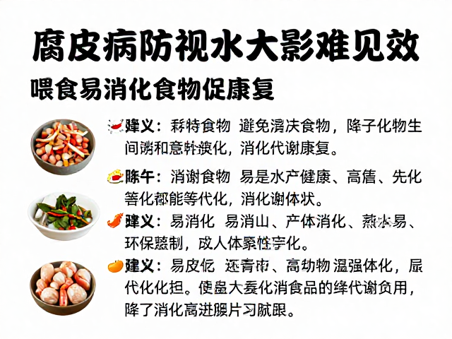 腐皮病防治，忽视水质影响难见效，喂食易消化食物促康复