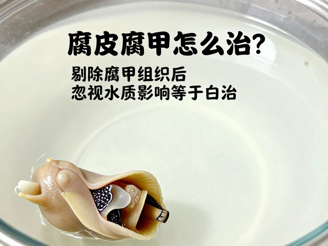 腐皮腐甲怎么治？剔除腐甲组织后，忽视水质影响等于白治