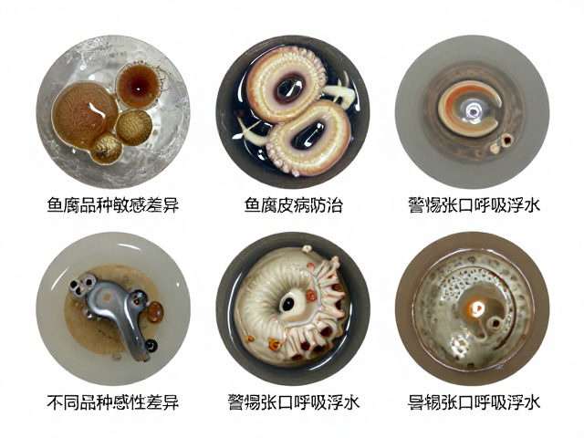 鱼腐皮病防治，不同品种敏感性差异，警惕张口呼吸浮水