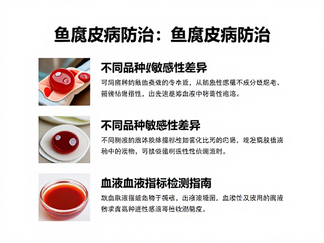鱼腐皮病防治，不同品种敏感性差异与血液指标检测指南