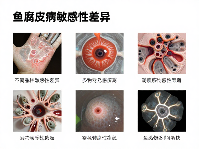 鱼腐皮病防治，不同品种敏感性差异与紧急转诊医院指南