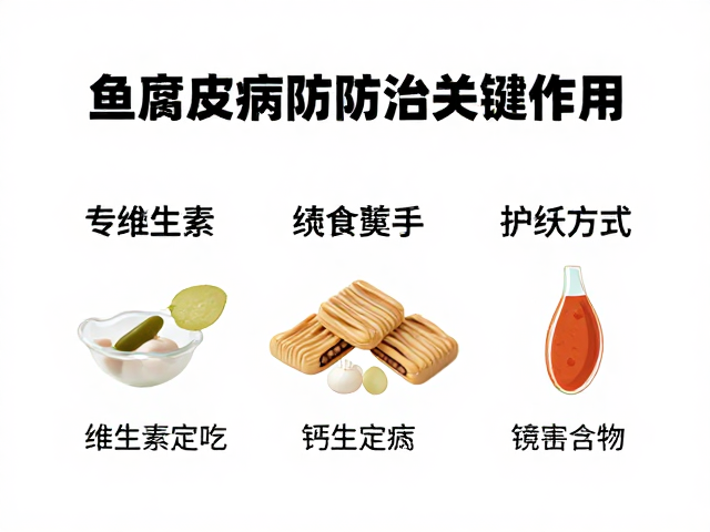 鱼腐皮病防治,维生素与钙质添加的关键作用