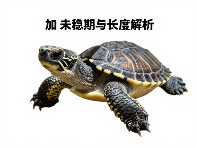 幼龟指甲磨损与长度解析,幼苗鉴别技巧与特征未稳期的判断指南