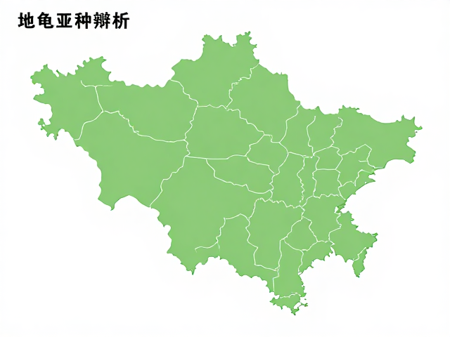 地图龟亚种辨析，幼苗鉴别技巧与地域体型差异全解析