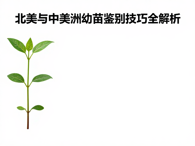 杂交后代性状不稳？北美与中美洲幼苗鉴别技巧全解析