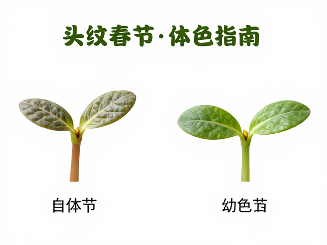 头纹走向与体色变化,不同季节幼苗鉴别技巧指南