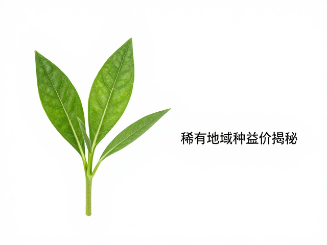 如何鉴别幼苗?看裙边颜色深浅,稀有地域种溢价揭秘