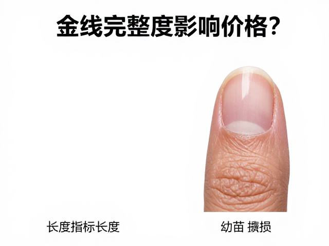 金线完整度影响价格？结合指甲磨损与长度，揭秘幼苗鉴别技巧