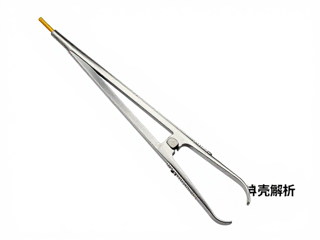 头顶金线不连？甲壳测量工具实测，幼苗鉴别技巧全解析