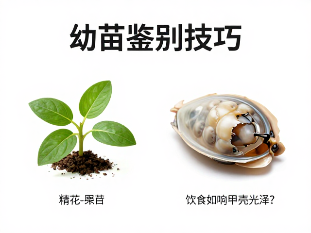 幼苗鉴别技巧,专家图谱比对,饮食如何影响甲壳光泽?