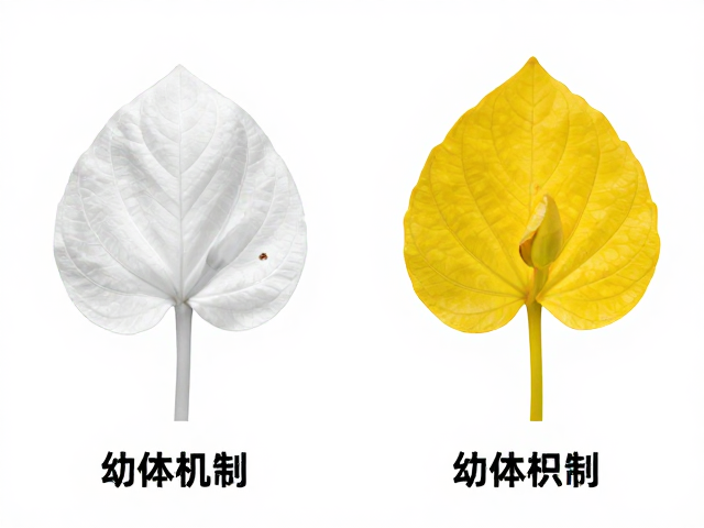白化与黄化个体识别,幼苗鉴别技巧,幼体与成体差异全解析