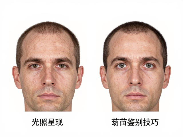 专家图谱比对,光照如何影响头纹显现?附幼苗鉴别技巧