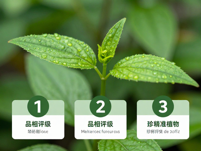 幼苗鉴别技巧，DNA检测，品相评级，3步精准鉴定珍稀植物