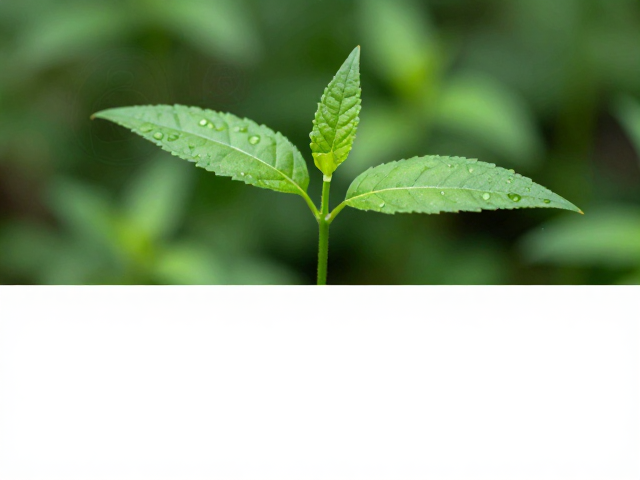 幼苗鉴别技巧,DNA检测,品相评级,3步精准鉴定珍稀植物