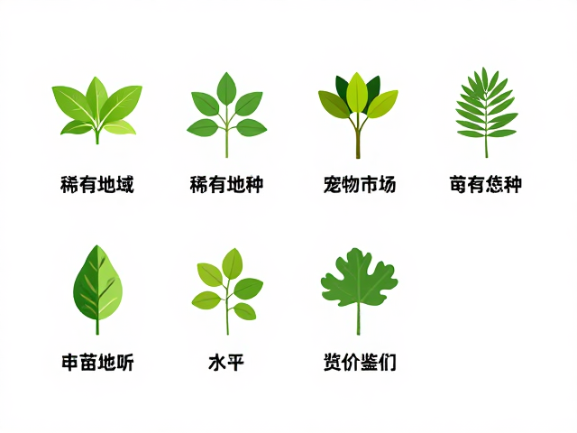 幼苗鉴别技巧,宠物市场分类与稀有地域种溢价解析