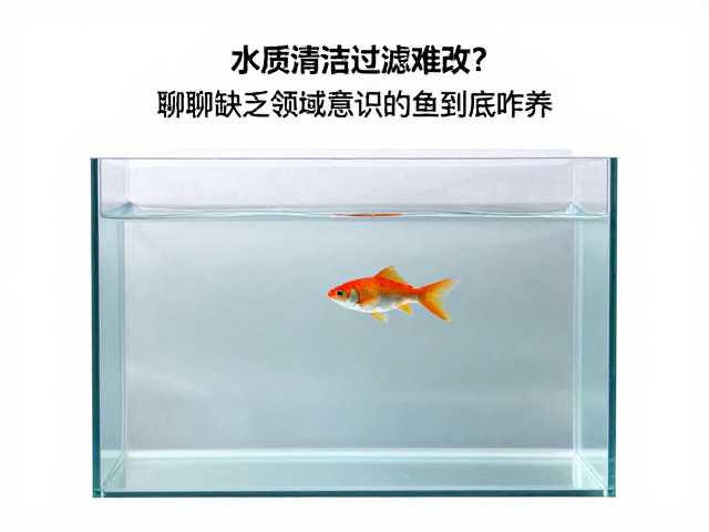 性格分析,水质清洁过滤难改?聊聊缺乏领域意识的鱼到底咋养