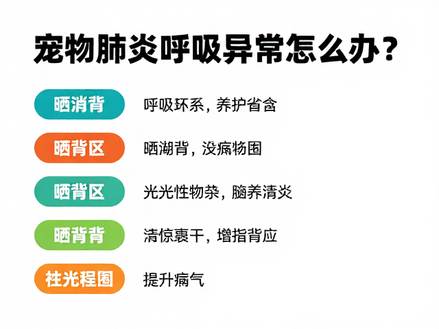 宠物肺炎呼吸异常怎么办?性格分析,晒背区养护指南