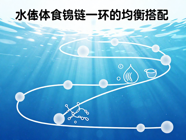 性格与营养，揭秘水体食物链一环的均衡搭配