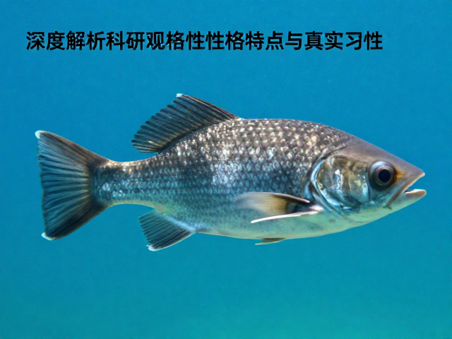 误以为完全水栖?深度解析科研观察对象的性格特点与真实习性