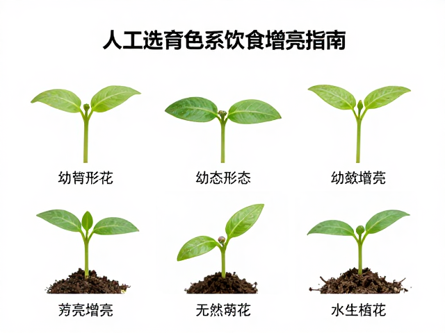 甲壳虫人工选育色系,幼苗鉴别技巧与饮食增亮指南