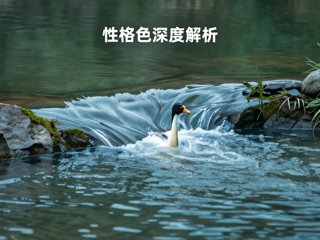 静水缓流中的生态平衡参与者，性格特点深度解析