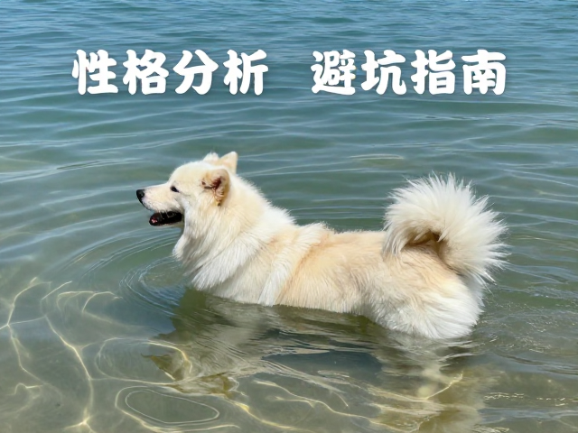 性格分析,适合晒背的淡水水域宠物推荐与避坑指南