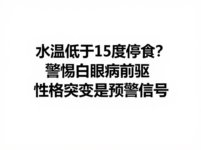 水温低于15度停食？警惕白眼病前驱，性格突变是预警信号