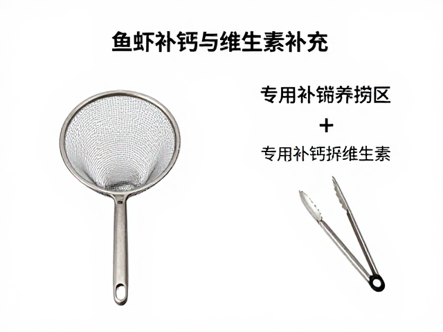 纠正饲养误区，鱼虾补钙与维生素补充，专用捞网夹子使用指南