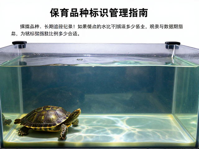 龟缸晒台与水域比例多少合适？保育品种个体标识管理指南