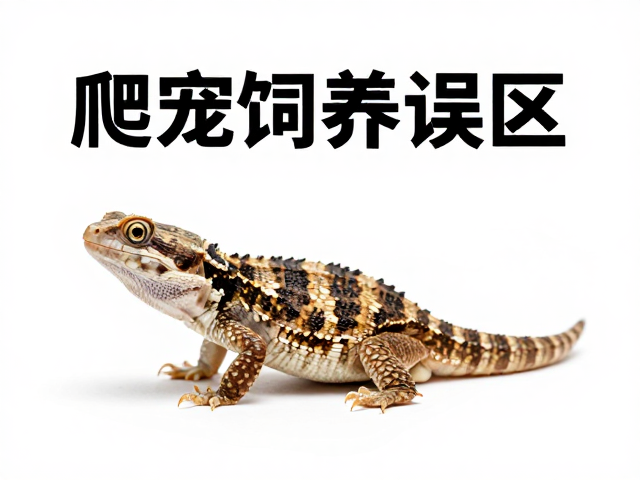 爬宠饲养误区,如何区分白眼与呼吸道感染及亚种变种