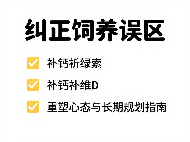 纠正饲养误区，补钙补维D，重塑心态与长期规划指南
