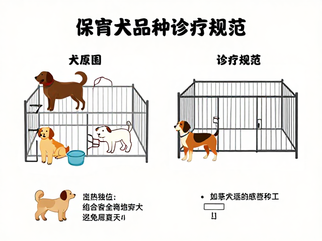 保育犬品种区分与诊疗规范，单只饲养空间标准详解