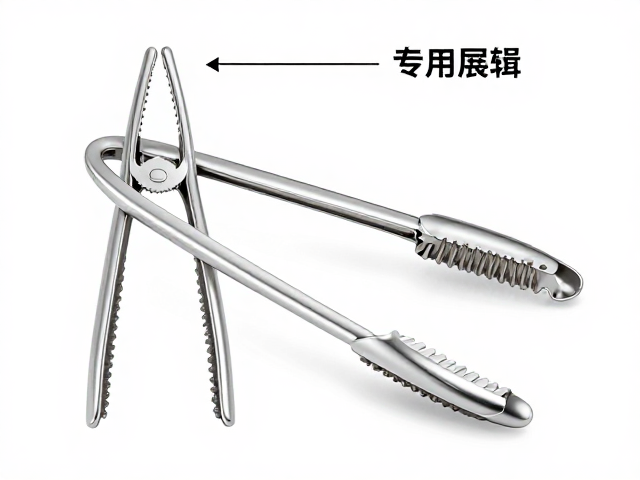 纠正饲养误区，专用夹子与UVB光照配置指南