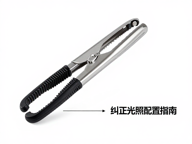 纠正饲养误区,专用夹子与UVB光照配置指南