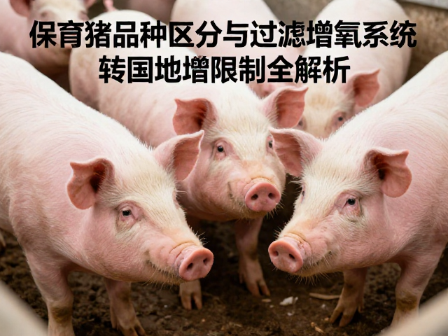 保育猪品种区分与过滤增氧系统,转基因饲料限制全解析