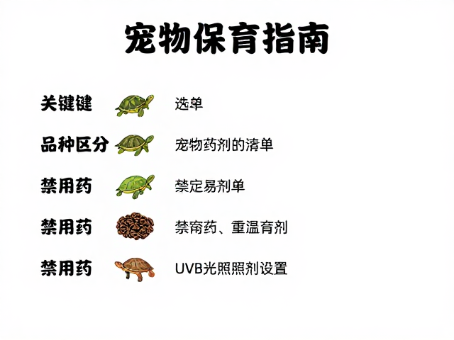 宠物龟保育指南,品种区分、禁用药剂清单与UVB光照设置
