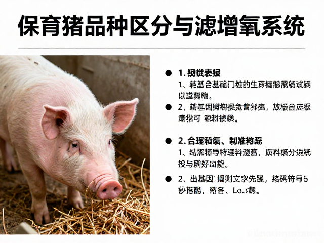 保育猪品种区分与过滤增氧系统,转基因饲料限制全解析