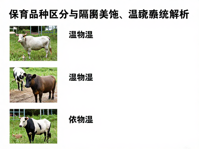 保育品种区分与隔离饲养设施,适宜温湿度区间全解析