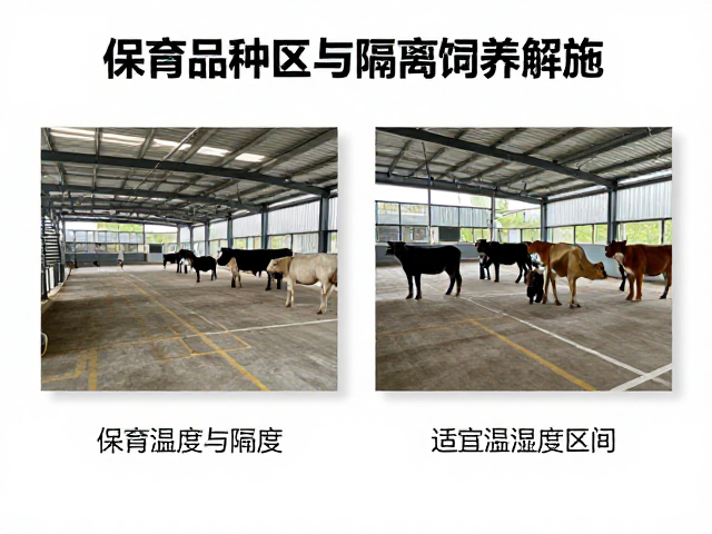 保育品种区分与隔离饲养设施,适宜温湿度区间全解析