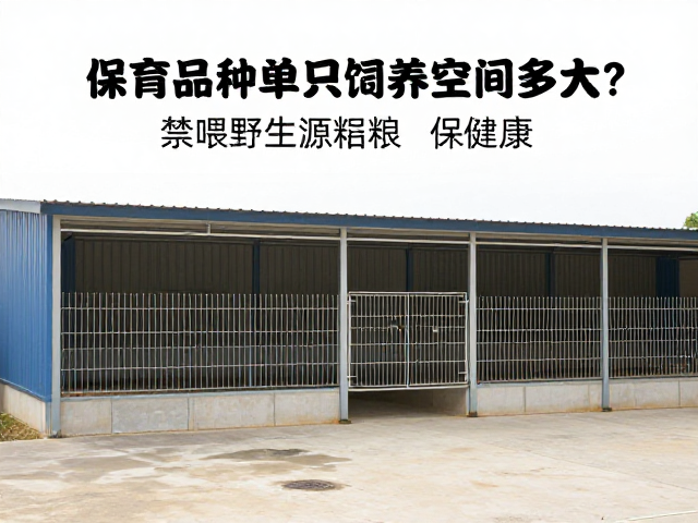 保育品种单只饲养空间多大?禁喂野生源饲料保健康