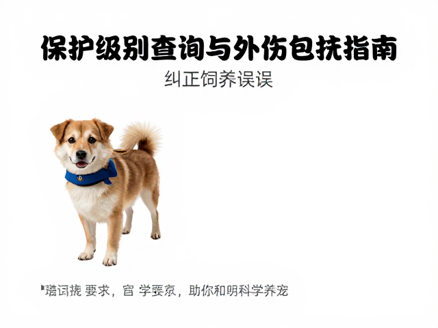 保护级别查询与外伤包扎指南,纠正饲养误区助你科学养宠
