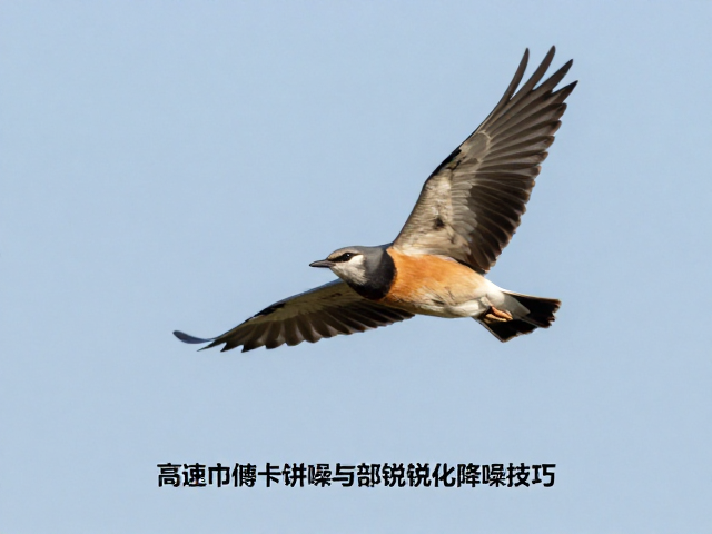捕捉飞鸟瞬间的高速存储卡核心参数解析