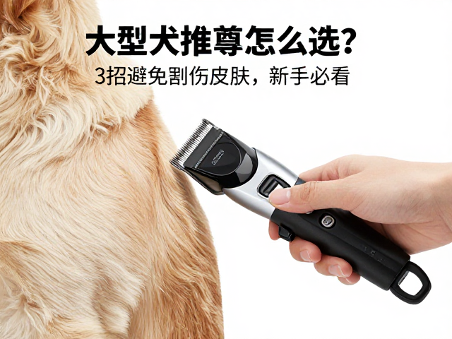 安全防护结构与操作细节