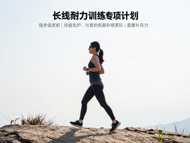 恢复机制与营养补充策略