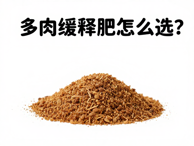 常见误区与风险规避