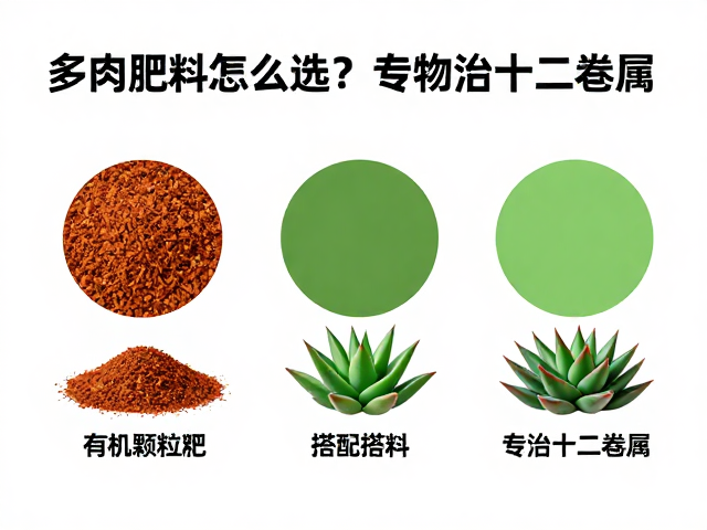 多肉肥料怎么选？有机颗粒肥搭配指南，专治十二卷属