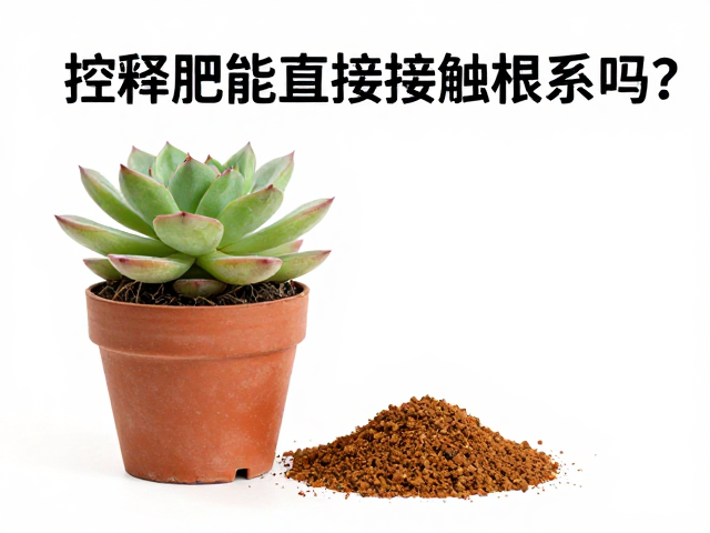 控释肥的使用场景与根系接触风险