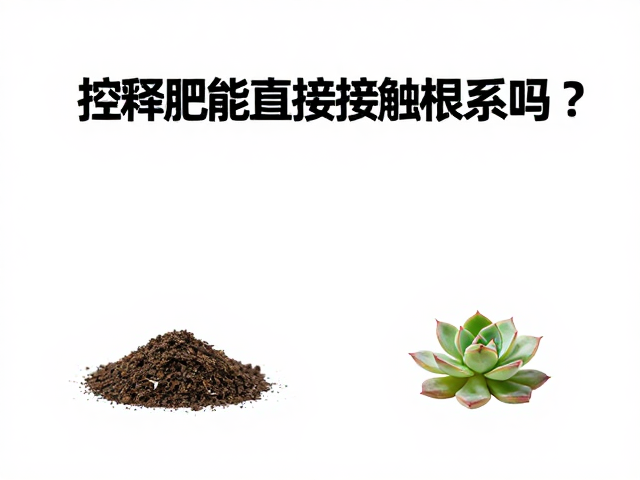 多肉肥料怎么选？控释肥能直接接触根系吗？全品类避坑指南