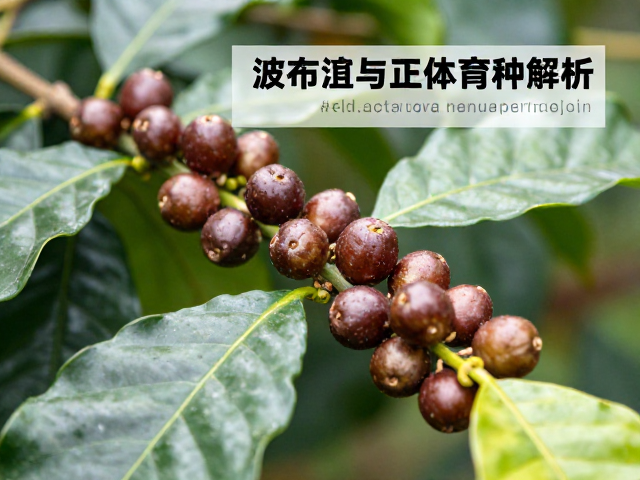 风味特征的遗传基础与感官表现